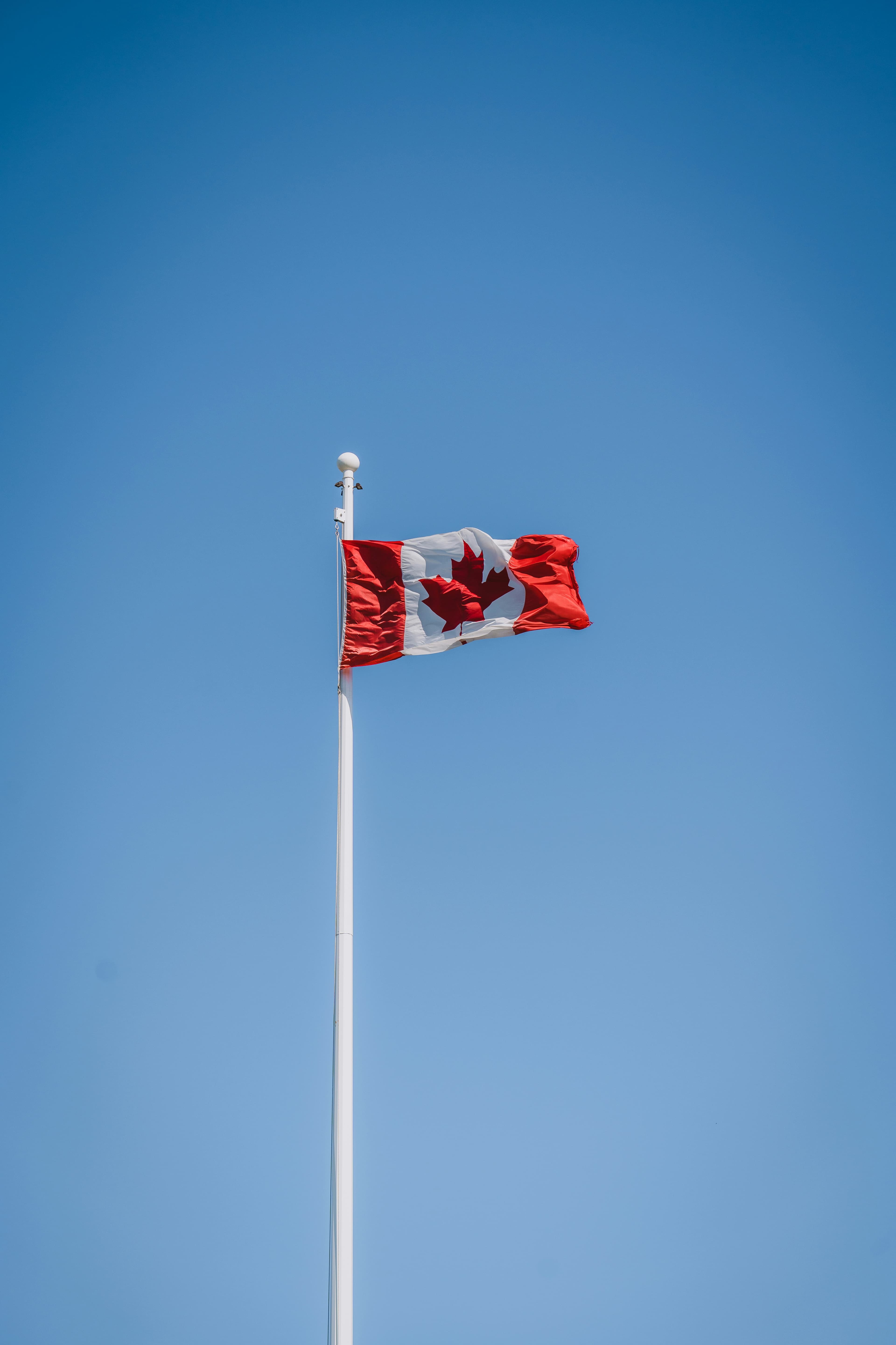 A Canadian flag waves on a tall white flagpole against a clear blue sky.